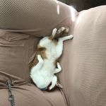Drake Apperson - @drakeapperson - Instagram
