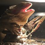 Drake Carroll - @drake_guy_person_dude - Instagram
