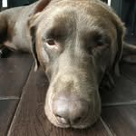 Drake Reed - @drake_the_great8 - Instagram