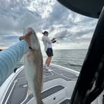 Drakewilliams - @drake_williams579 - Instagram