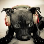 DreKing_101 - @dreking_101 - Instagram