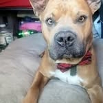 Andrew Ballenger - @ballenger_andrew - Instagram