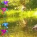 Drue Ballenger - Facebook