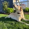 Drew_Baumberger - @drew_baumberger - TikTok