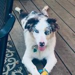 Debbie Drew-Barden - @73lildeb - Instagram