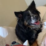 Barney Drew - @barney.drew - Instagram