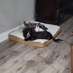 Drew Barney - Facebook