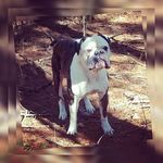 Drew Bartlett - @drewbartlett2 - Instagram