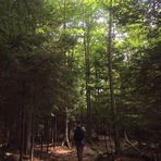 Drew Bates - Facebook