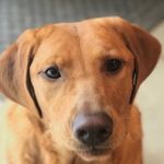 Drew Baumgarn - @drewbaumgarn - Instagram