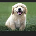 Drew Alexander Bauman - @drew__bauman - Instagram