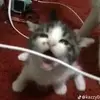 drewbaxter60 - @drewbaxter60 - TikTok