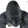 Andrew - @beamdrew - TikTok