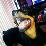Drew Bearden - @bearden.drew.42o - Instagram