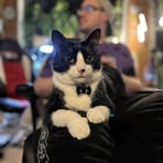 Drew Belcher - Facebook