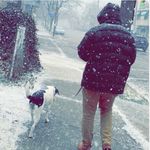 Drew Lindenberger - @drew_berger - Instagram