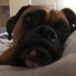 Drew Biddle - @dbidd06 - Instagram