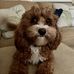 Drew Blackwell - Facebook