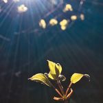 Drew Blackwell - @feel_the.vibes - Instagram