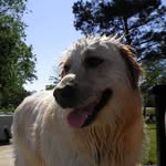 Drew Blackwell - @drewblackwell3374 - Instagram
