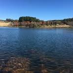 Andrew Bladon - Facebook