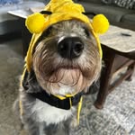 Drew bond - @drew.bond20 - Instagram