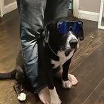 Drew Bowman - @drewbowman74 - Instagram