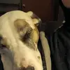 Drew Bowman - @drew.bowman0 - TikTok