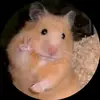 DrewBowman.we - @drewbowman.we - TikTok