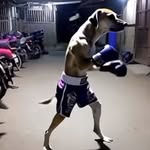 Drew Boyer - @drooboyer - Instagram