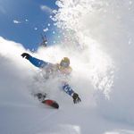 Andrew Carrier - @andrewcarrier - Instagram