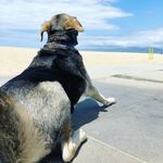 Drew Carrier - @mister_carrier - Instagram
