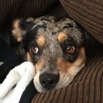 Drew Cobb - @drew.cobb - Instagram