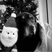 Andrew Combs - Facebook