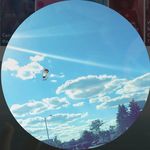 Drew Conover - @drewbiee_ - Instagram