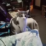 Drew Daniels - Facebook