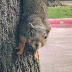 Drew Decker - @drew.decker.5851 - Instagram