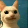 Drewdelgado - @drewdelgadoo - TikTok