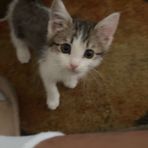 Andrew Dominguez - Facebook