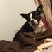 Drew Dotson - Facebook