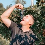 Drew Doyle - @drew_doyle - Instagram