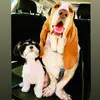 DudleyAndDrew - @dudleyanddrew - TikTok
