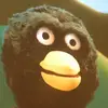 drew_eversole - @drew_eversole - TikTok