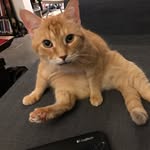 Andrew Eichel - @andrewteichel - Instagram
