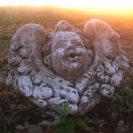 Andrew Eldred - @eldred.andrew - Instagram