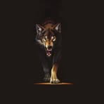 Drew Elkins - Facebook