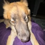 Jizzelballz - @drewjizzelmore - Instagram