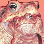 Drew Elston - @drubbles259 - Instagram