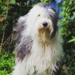 drew - @drew_emery1234 - Instagram
