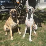 Drew Kev Emery - @kmckim824 - Instagram